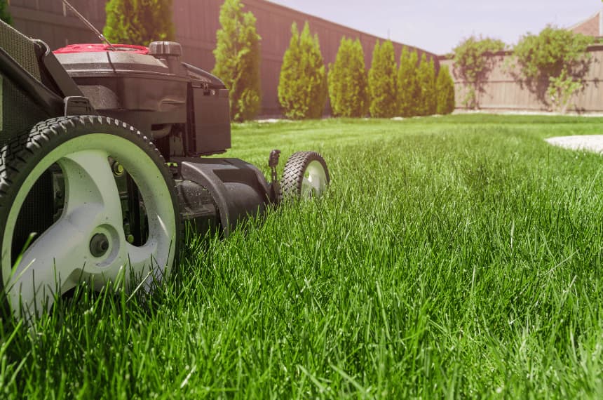 lawn mowing Melbourne, lawn care, lawn care near me, gardening, grounds keeper, weed control, gardener near me, commercial lawn mowing, commercial gardening, commercial lawn care